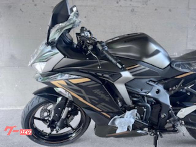 カワサキ Ｎｉｎｊａ　ＺＸ－２５Ｒ　ＳＥの画像（香川県