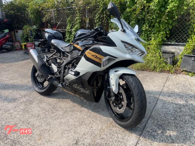 Ｎｉｎｊａ　ＺＸ−４Ｒ　ＳＥ
