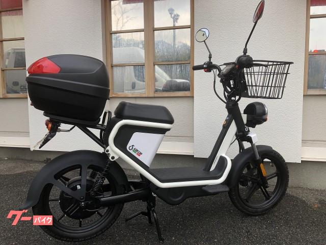 電動スクーター 電動スクーター ＧＥＶ６００ 原付１種スクーター ...