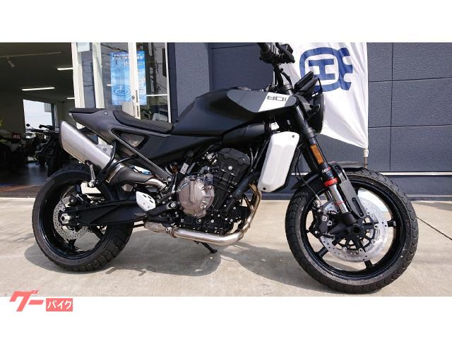 スヴァルトピレン８０１