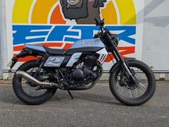 ＢＲＩＸＴＯＮ　フェルスベルク２５０ＦＴ　ｓｈａｋｉｎ’　ｓｐｅｅｄ　ｇｒａｐｈｉｃｓカスタムペイント