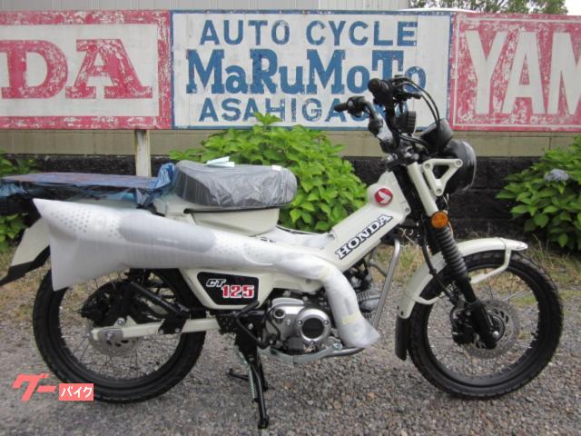 ＣＴ１２５ハンターカブ　ノーマル　現行モデル