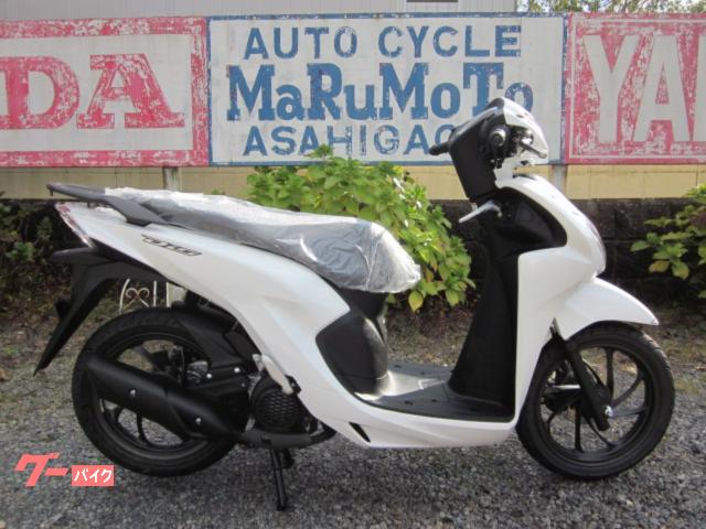 Ｄｉｏ１１０・ベーシック　ノーマル　インジェクションモデル