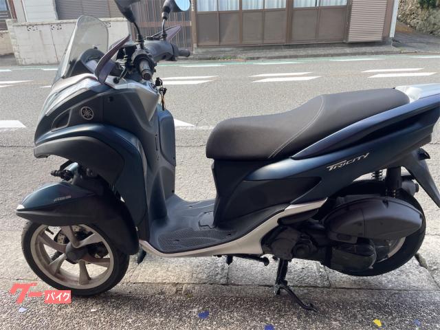 トリシティ