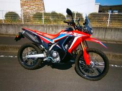 ホンダ　ＣＲＦ２５０　ラリー　２０２３年モデル　ワンオーナー　ノーマル車両