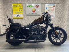 ＨＡＲＬＥＹ−ＤＡＶＩＤＳＯＮ　ＸＬ８８３Ｎ　アイアン　北米マフラー　エアクリ　ＥＴＣ　ＬＥＤライト　２人乗り