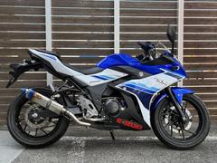 スズキ　ＧＳＸ２５０Ｒ　ＤＮ１１Ａ　ＥＴＣ　スリップオンマフラー　アルマイトバーエンド　ビレットレバー　ブリーザーシステム　タンクパッド