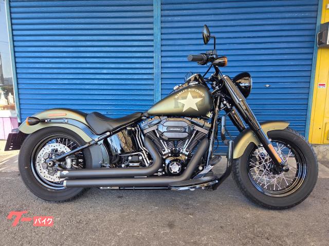 ＦＬＳＳ　ソフテイルスリムＳ