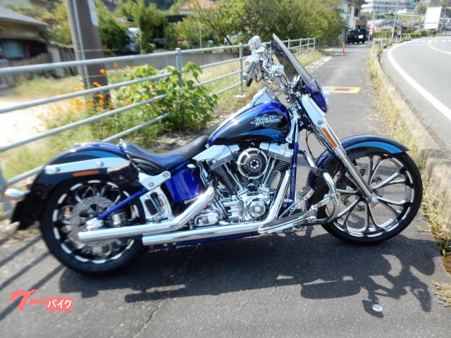 ＨＡＲＬＥＹ－ＤＡＶＩＤＳＯＮ ＣＶＯ ＦＬＳＴＳＥ２ ソフテイル