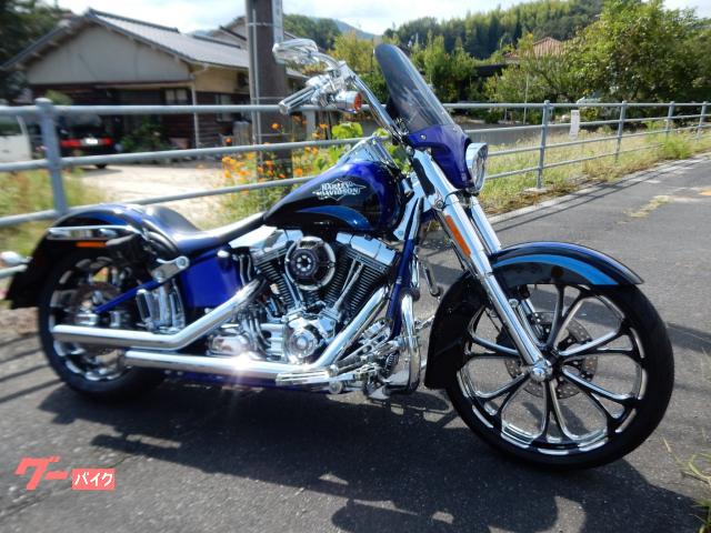 ＨＡＲＬＥＹ－ＤＡＶＩＤＳＯＮ ＣＶＯ ＦＬＳＴＳＥ２ ソフテイル