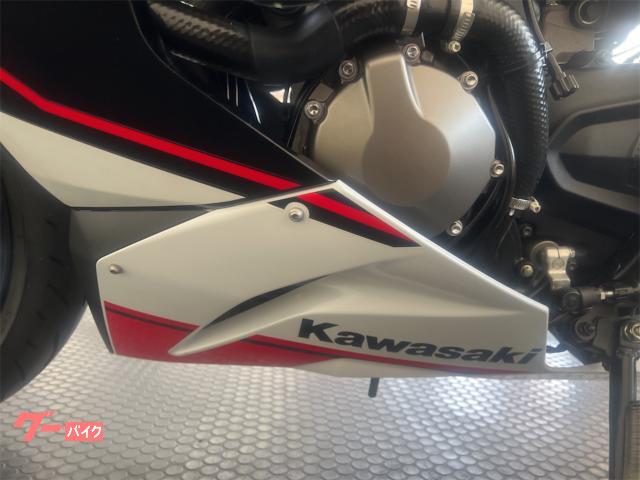 カワサキ Ninja ZX－6RABS ETC エンジンスライダー付