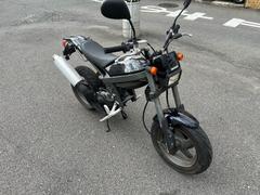 ストリートマジック５０(スズキ)のバイクを探すなら【グーバイク】