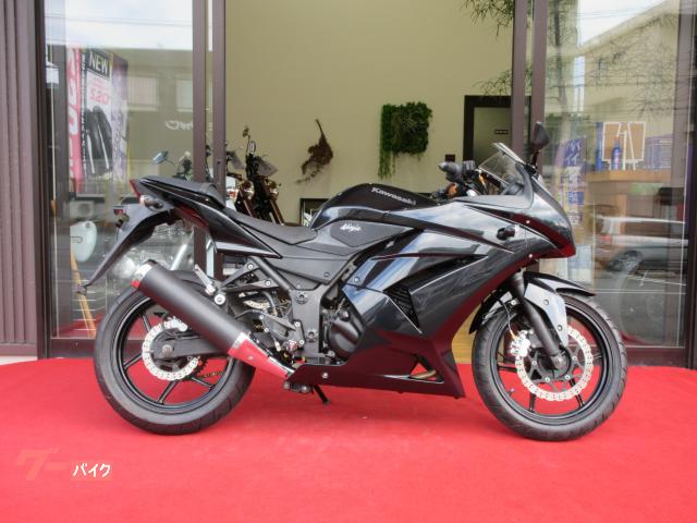 Ｎｉｎｊａ　２５０Ｒ