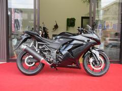 カワサキ　Ｎｉｎｊａ　２５０Ｒ