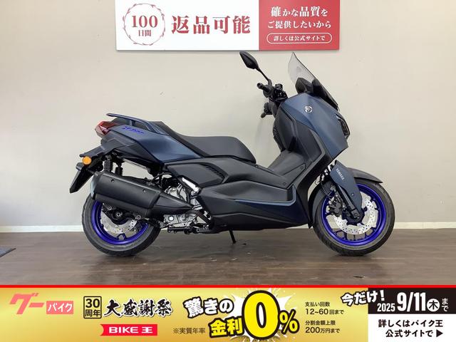 Ｘ−ＭＡＸ２５０ＡＢＳ　フルノーマル