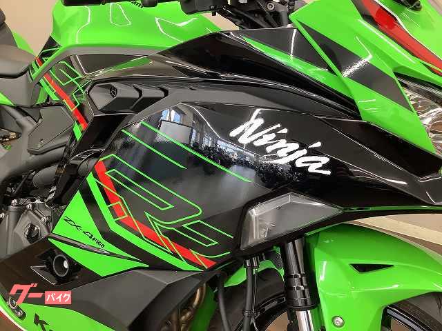 R I様】専用・赤/緑、各360g≪フォロー割特価≫ 車両情報:カワサキ Ninja