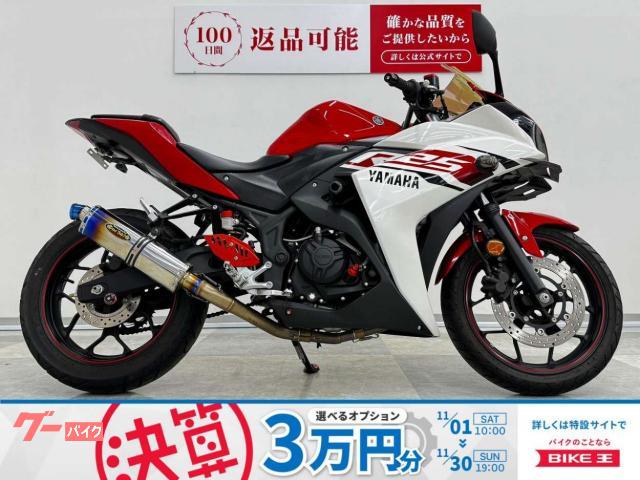 ＹＺＦ−Ｒ２５　マフラー他カスタム多数