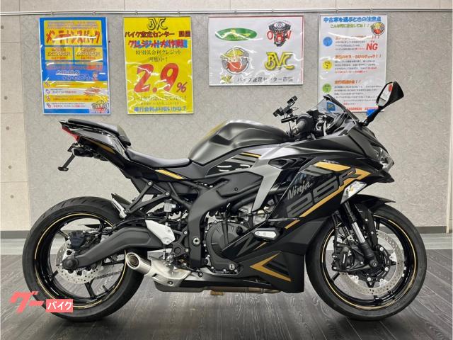 Ｎｉｎｊａ　ＺＸ−２５Ｒ　ＳＥ　ラジエーターコアガード　フェンダーレス