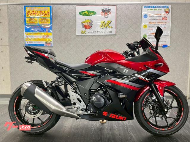 ＧＳＸ２５０Ｒ　スモークスクリーン　フェンダーレス　スライダー装備