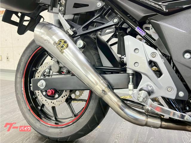 スズキ GSX250R ドラレコ パニアケース USB SP忠男