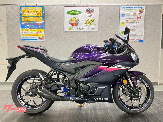 ＹＺＦ−Ｒ２５　２０２３年モデル　プラナスサイレンサー　バックステップ　ＭＲＡスクリーン　ＥＴＣ　ＵＳＢ　マルチバー