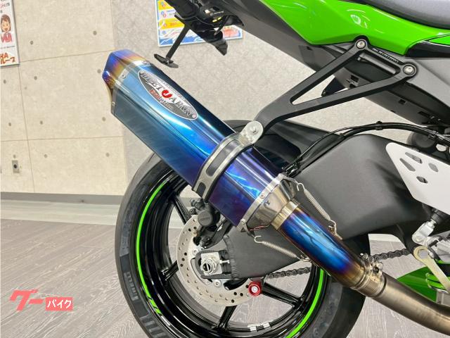 Kawasaki Ninja ZX-6R BEET — миниатюра 6