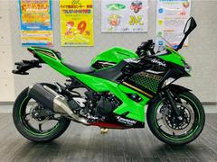 グーバイク】愛媛県・排気量250cc以下・MTのバイク検索結果一覧(1～30件)
