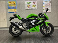 カワサキ　Ｎｉｎｊａ　２５０ＳＬ