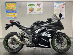 カワサキ　Ｎｉｎｊａ　２５０　２０１７年ウィンターテストエディション　ＥＴＣ　スライダー　スリップオンサイレンサー