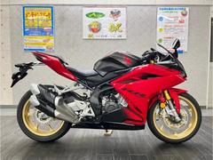 グーバイク】走行距離 :3.6万キロ 以下・「250」のバイク検索結果一覧(31～60件)