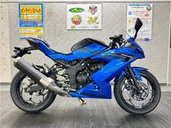 カワサキ　Ｎｉｎｊａ　２５０ＳＬ　２０１６年モデル　スライダー装備