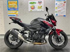カワサキ　Ｚ２５０　２０１９年モデル　セパハン　メーターバイザー　フェンダーレス　グリップヒーター装備