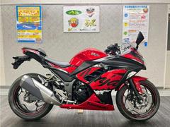 カワサキ　Ｎｉｎｊａ　２５０　２０１７年モデル　スライダー装備