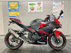 カワサキ　Ｎｉｎｊａ　２５０　２０１８年モデル　ヨシムラフルエキ　フェンダーレス　グリップヒーター装備