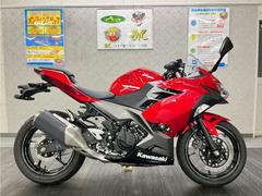 カワサキ　Ｎｉｎｊａ　２５０　２０２２年モデル　ワンオーナー　スライダー　マルチバー　ＵＳＢ　グリップヒーター