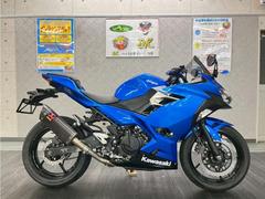 カワサキ　Ｎｉｎｊａ　２５０　アクラポビッチスリップオン　マルチバー　ＵＳＢ