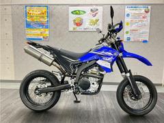 ヤマハ　ＷＲ２５０Ｘ　２０１４年モデル　フェンダーレス　ブッシュガード　プロスキルサイレンサー　ｄｂ’ｓエキパイ　Ｒ外装