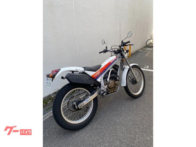 ホンダ TLR250R 1986年モデル ノーマル｜RISE｜新車