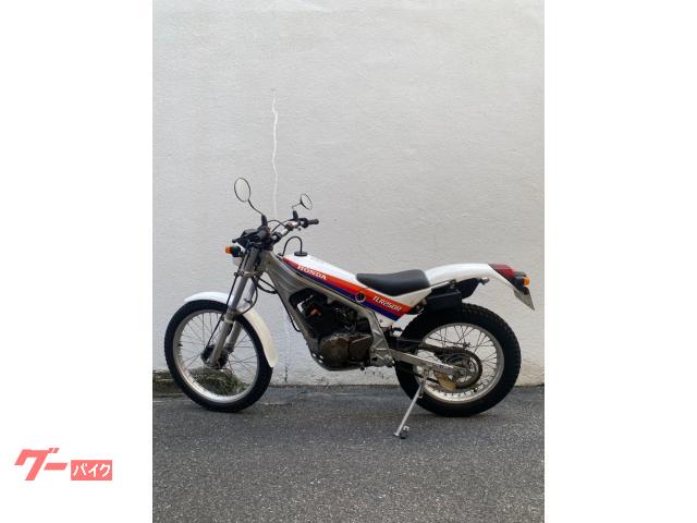 ホンダ TLR250R 1986年モデル ノーマル｜RISE｜新車
