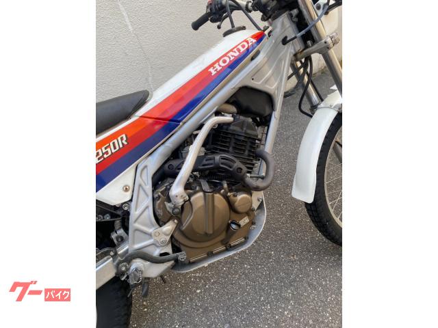 ホンダ TLR250R 1986年モデル ノーマル｜RISE｜新車