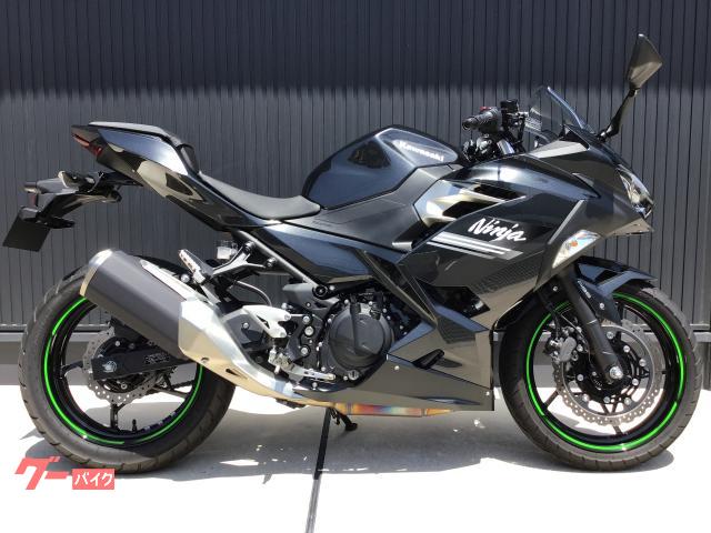 Ｎｉｎｊａ　２５０　グレー　ブラック／２０２２年モデル