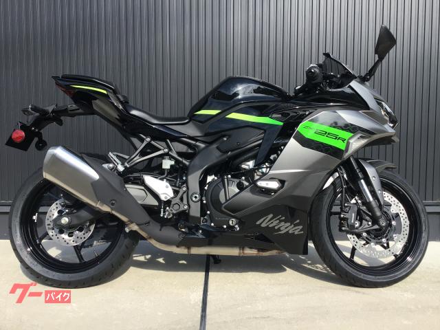 Ｎｉｎｊａ　ＺＸ−２５Ｒ　ＳＥ　グレー　ブラック／２０２６年モデル