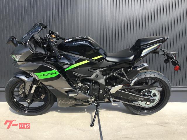 カワサキ Ninja ZX－25R SE グレー ブラック
