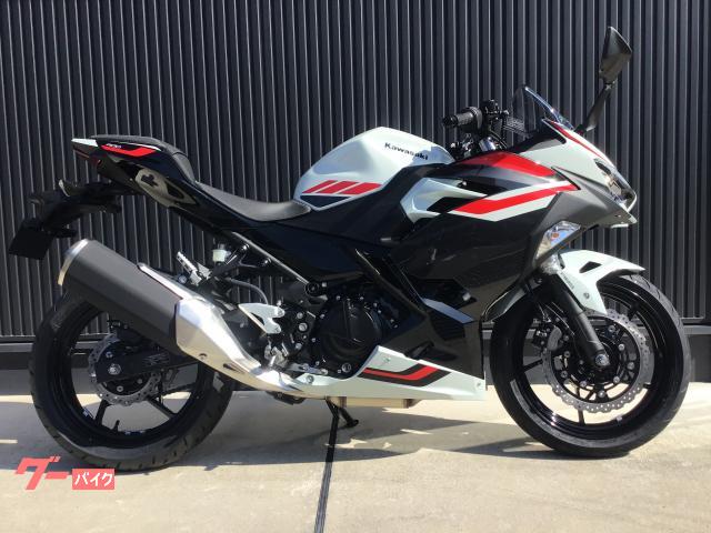 Ｎｉｎｊａ　４００　ホワイト／２０２６年モデル