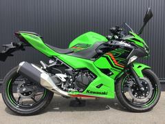 カワサキ　Ｎｉｎｊａ　２５０　ＫＲＴ／グリーン／２０２３年モデル