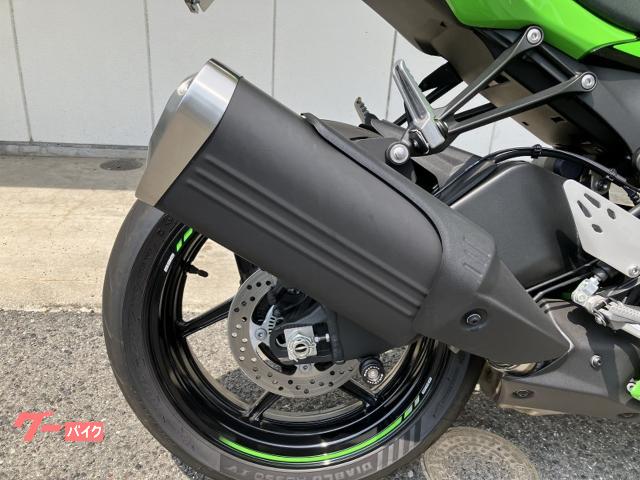 かえる 71xnZ8xKvHL._UF350,350_QL80_.jpg