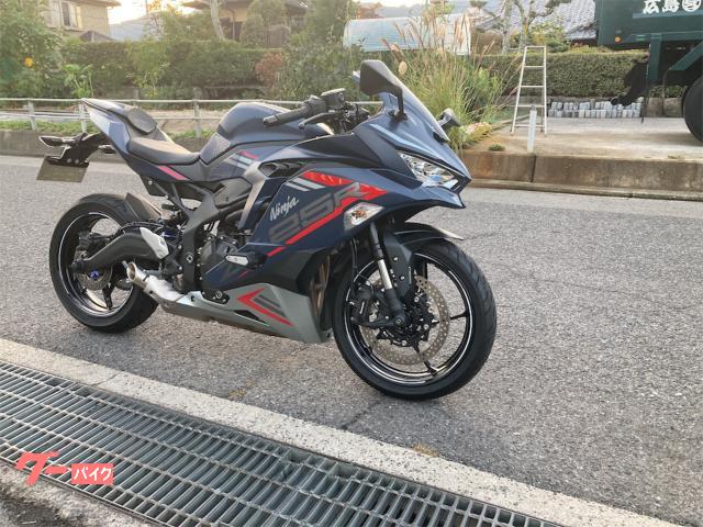 カワサキ Ｎｉｎｊａ ＺＸ－２５Ｒ ＳＥ レーシングリンクプレート