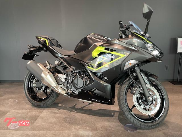 Ninja 250