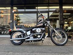 ＨＡＲＬＥＹ−ＤＡＶＩＤＳＯＮ　ＦＸＳＴＣ　ソフテイルカスタム