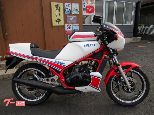 ヤマハ ＲＺ２５０Ｒ フルオプション装備 ノーマル キャブ車 ミッション｜ベストオート｜新車・中古バイクなら【グーバイク】